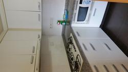 Amaryllis Ville (D11), Condominium #119462382